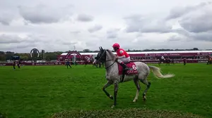 ブエナビスタ 第70回オークス 現地購入 単勝馬券 - メルカリ