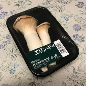 ボンゴヘッド】新品/TB800-RH85/RH70 ボンゴヘッドセット - メルカリ