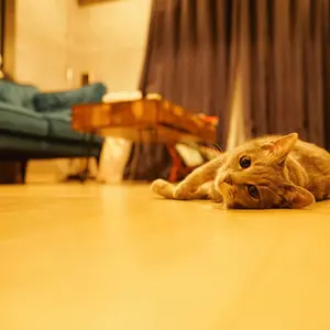 三益消防機材製 HG-PRO ハイグリップ布製編み上げ靴 消防 救助 - メルカリ