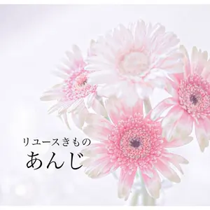 袋帯 膨れ織 綿繍 正倉院文様 正絹 AO-4504 - メルカリ