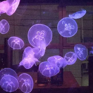 呪術廻戦 花やしき 色紙 ミニカード コースター ポストカード 伏黒恵