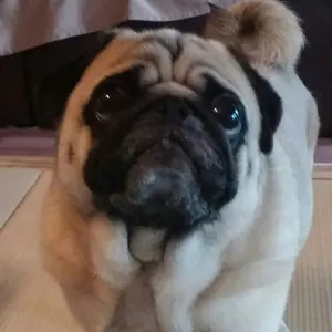 a*g様 BALLSEY パフスリーブオールインワン - メルカリ