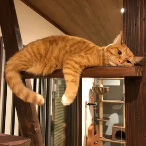 【激レア・美品】Chara／SOMETHING BLUE（自主制作／限定品） 激レア・美品】Chara／SOMETHING BLUE（自主制作／限定品） - メルカリ