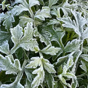 THE総合内科ドリル 未使用のシリアルコード付き - メルカリ