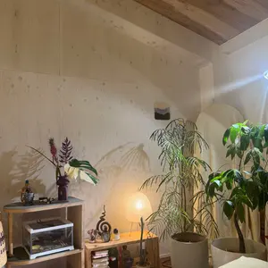 檸檬vintage