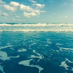 コイキング ○ 拡張パック第5弾 神秘なる山 026/088 1ED - メルカリ