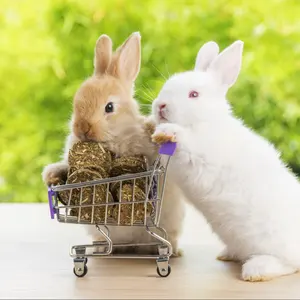 未開封希少／MaGic in youR Eyes／Tommy february6 - メルカリ