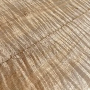 フリーザトーン ベースブラスター ユーズド品 ベーシスト応援企画①