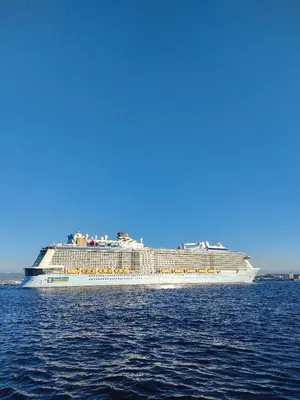 バクリーニャ コンテンポラネア CONTEMPORÂNEA 8インチ ブラジル