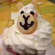 AGF 2025 韓国限定 ブラウンダスト2 ロエン 抱き枕カバー - メルカリ