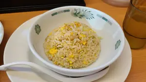 大阪モノレール 1000系 側面方向幕 大阪モノレール 1000系 側面方向幕 - メルカリ