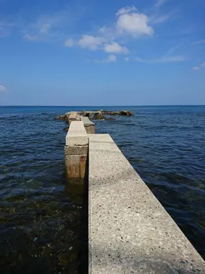 o112.ハブネーク 2005 クリア Var ポケモン キッズ 指人形 - メルカリ