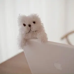 MASTER BUNNY EDITION パーカー ホワイト 紫外線対策 - メルカリ