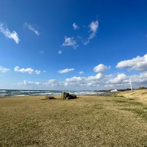 Supreme Holiday Tree インテリア ライト 雑貨 - メルカリ