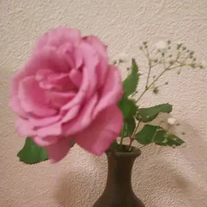 マロングラッセ様】ちぃましゃ ニットパーカー ブラック ホワイト 福山