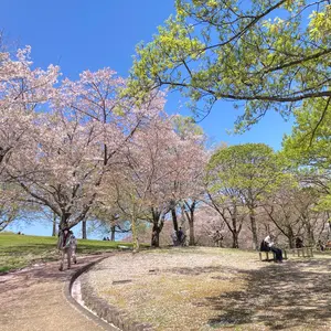 弓きいろ/図書館戦争 LaLa5月号付録 スペシャルイラスト集 堂上・笠原