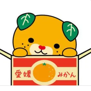 ZY-616 色留袖 手描き友禅 ぼかし 金彩 共八掛 名品 - メルカリ