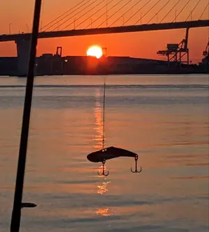 マッタン値引き交渉即ブロック プロフ必読