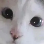 はむ断捨離中※購入時プロフ必読願います