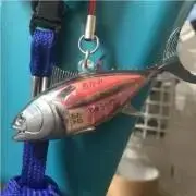 アディダス ベースボール クレイジーメタリックカラー