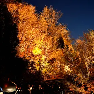 BLACK SIGN ダークデニムジャケット 40 - メルカリ