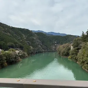 川*上様 トムフォード ビックジップトートバッグ - メルカリ