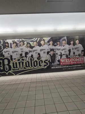 Buffaloes ユニフォーム 背番号18 XLサイズ 宮城ひろや - メルカリ