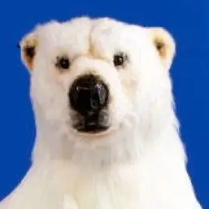 EARL skateboards ベルト punkandyo EC melodi - メルカリ