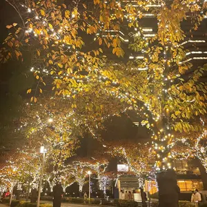 星街すいせい 輝くステージへ ヴァイスシュヴァルツ 639枚 - メルカリ