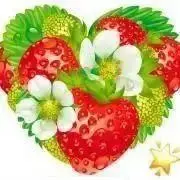 ストロベリー　プロフ必読