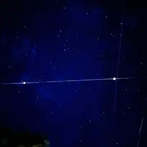 フィギュア整理中