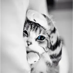ユウ