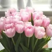 展示品 knoll ノール 120万 2人掛けソファ ラブソファ 高級