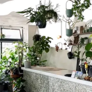 MONCLER JOSEPHINE ジョセフィーヌモッズコート雑誌掲載モデル - メルカリ MONCLER JOSEPHINE ジョセフィーヌモッズコート雑誌掲載モデル - メルカリ