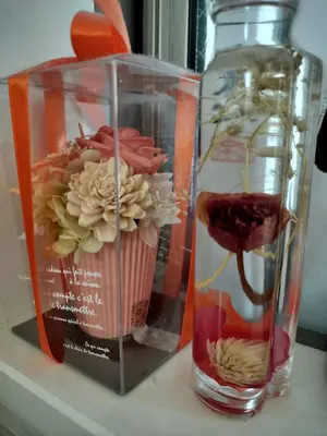 希少✨️】ANNA SUI SUI LOVE オードトワレ 75ml 廃盤 - メルカリ