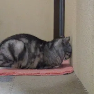 ゆうちゃん