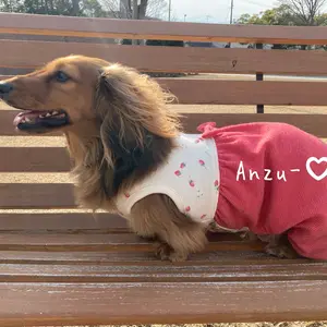 サラダページです　オーダー　ダックスフンド　犬服　ロンパース　わんこ服 サラダ様専用ページです オーダー ダックスフンド 犬服