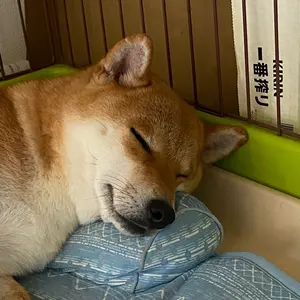 J*k様 イチローズモルト20th他4本セット現旧角瓶復刻 - メルカリ