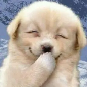 数量限定 鳥取【名探偵コナン】7周年記念 ピンバッジ『服部平次』青山