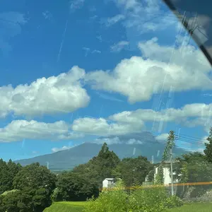 T3656 ⭐️レア 01's スタジオジブリ 千と千尋の神隠し Haku ジャン T3656 ⭐️レア 01's スタジオジブリ 千と千尋の神隠し Haku
