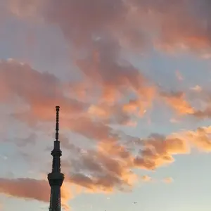 景観する循環カフェ 平沢進ギターピック＋オマケ - メルカリ