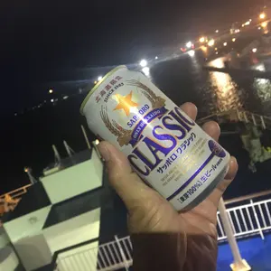 美品1回使用のみ ベクターグライド POLARVE Light 175 シール付 - メルカリ