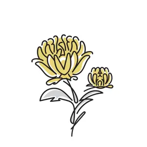 アンデプリュス ピンタック ワンピース ブラック 五明祐子 un de plus