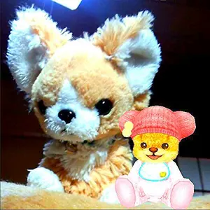 みんとちょこ