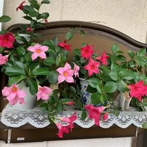 ○D54□【ミシン糸整理棚】大巻き糸&小巻糸用54本糸立て - メルカリ