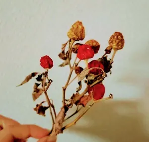 ケ烟@プロフ読み推奨