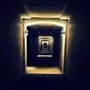 希少アラビア Oliivi オリーヴィ オリービ 16cmプレート② - メルカリ