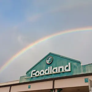 バンザイボウル(即ご購入大歓迎です)