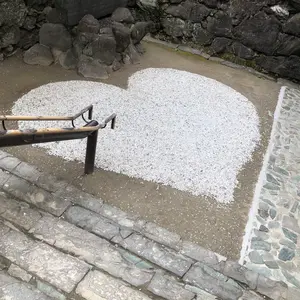 サミット インターナショナル リリーブーケ⭐️ガードル