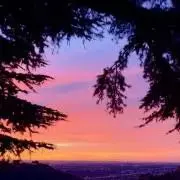 JEFF MILLS ジェフミルズ 直筆サイン スリップマット - メルカリ